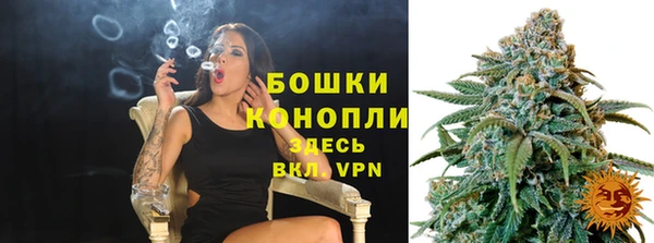 гашик Заводоуковск
