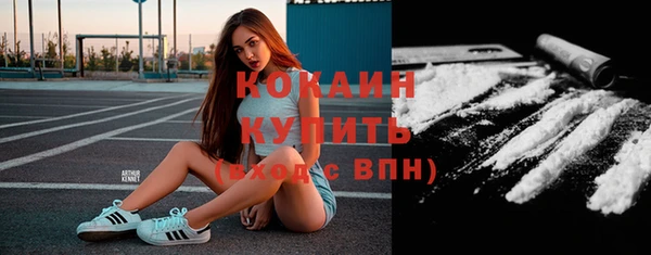 гашик Заводоуковск