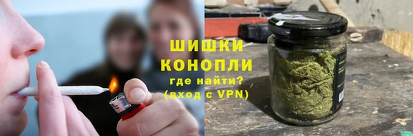 гашик Заводоуковск