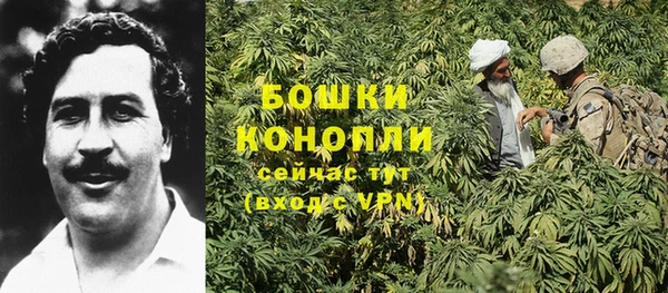гашик Заводоуковск