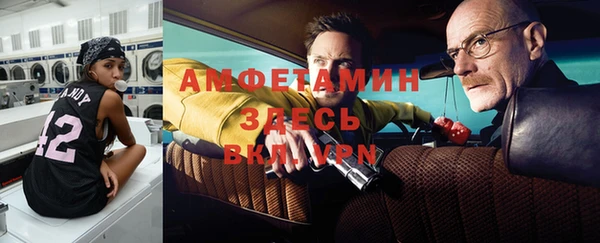 гашик Заводоуковск